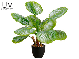 25" UV Protected PVC Calathea Orbifolia Plant in Plastic Nursery Pot Green (pack of 4)