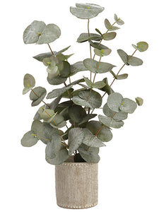 20.5" Ecualyptus Plant in Cement Container Green Gray (pack of 1)