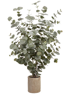 47" Eucalyptus Plant in Cement Container Green Gray (pack of 1)