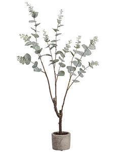 35" Eucalyptus Plant in Cement Pot Green Gray (pack of 2)