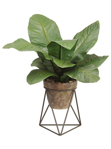 20"tropical Leaf Plant in Terra Cotta Pot With Stand Green (pack of 2)