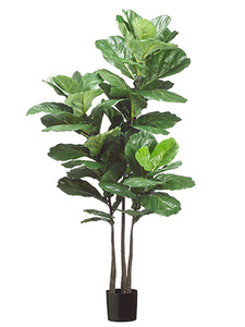 70" Fiddle Leaf Plant x3 with 53 Leaves in Pot Green (pack of 2)