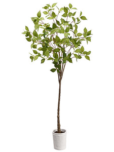 38" Laurel Tree in Terra Cotta Pot Green (pack of 4)