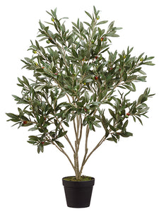 37.5" Olive Tree in Pot  Green (pack of 4)