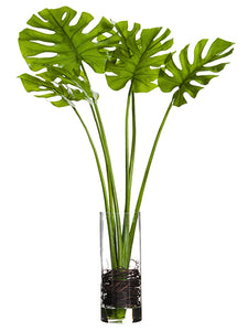 51.5" Split Philodendron in Glass Vase Green (pack of 1)