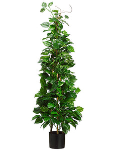 66.5" Pothos Tower Topiary in Pot Green Cream (pack of 2)
