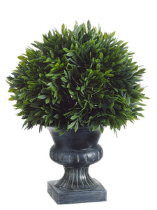 9"Hx6.5"D Podocarpus with 57 Leaves in Plastic Urn Green (pack of 6)