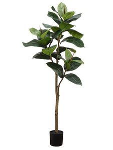 48" Rubber Leaf Plant in Pot  Green (pack of 2)