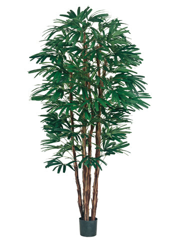 7' Rhapis Tree x6 with 1148 Leaves in Pot Two Tone Green (pack of 2)