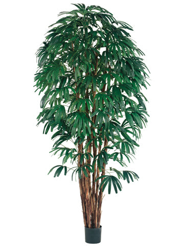 8' Rhapis Tree x7 with 1400 Leaves in Pot Two Tone Green (pack of 2)