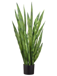 38" Sansevieria Plant With 23 Leaves in Pot Green (pack of 2)