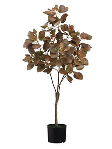44" Smoke Tree in Pot  Two Tone Green (pack of 4)