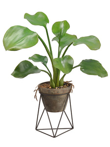 26" Water Hyacinth Leaf Plant in Terra Cotta Pot With Stand Green (pack of 2)