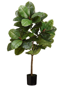 3' Rubber Plant Tree in Pot  Green (pack of 4)