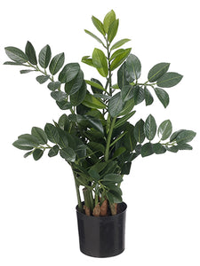 26.75" Zamioculcas Plant in Pot Green (pack of 2)