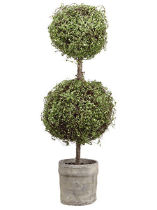 30.5" Baby's Tear Double Ball Topiary in Pot Green (pack of 1)