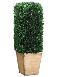 18" Dried Look Boxwood Topiary in Paper Mache Pot Green (pack of 2)