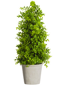 23" Soft PE Euclayptus Topiary in Paper Mache Pot Green (pack of 2)