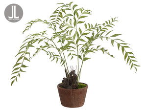 34" Fern Plant in Clay Pot  Green (pack of 1)