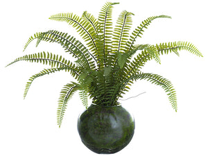 12" Sword Fern Plant in Glass Vase Green (pack of 4)