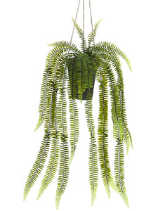 28" Hanging Sword Fern in Clay Pot Green (pack of 4)