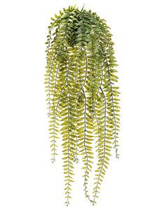 25" Hanging Fern in Plastic Pot Green (pack of 6)