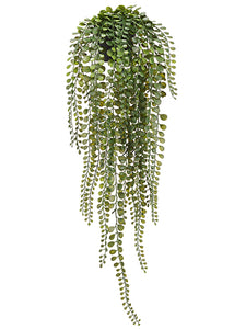 24" Hanging Button Leaf Fern in Plastic Pot Green (pack of 6)
