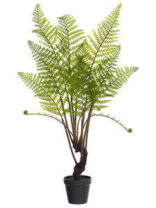 28" Forest Fern Plant in Plastic Pot Green (pack of 4)