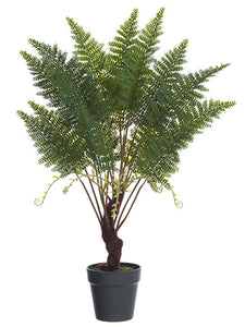 30" Double Fern Plant in Plastic Pot Green (pack of 4)