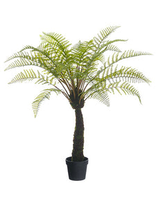 48" Forest Fern Plant in Plastic Pot Green (pack of 1)