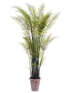 82" Forest Fern Plant in Paper Mache Pot Green (pack of 1)