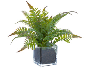 12" Soft Plastic Mixed Fern in Glass Vase Green Gray (pack of 4)