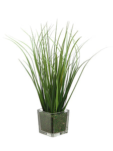 15" Grass in Glass Vase  Green (pack of 6)
