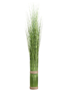 35" Onion Grass Stand  Variegated (pack of 6)