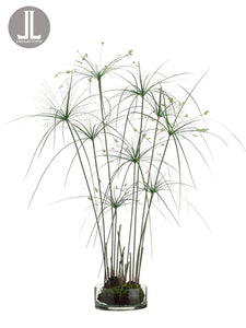 38" Papyrus Grass in Glass Vase Green (pack of 1)