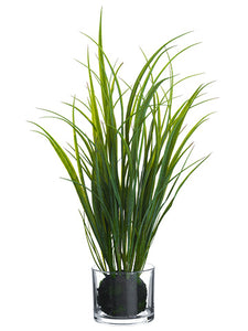 28" Grass in Glass Vase  Green (pack of 4)