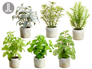 8.5"-10.5" Herb Garden in Clay Pot (6 ea/set) Green Gray (pack of 2)
