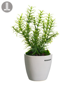 11" Rosemary in Ceramic Vase  Green (pack of 6)