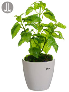 11" Basil in Ceramic Vase  Green (pack of 6)