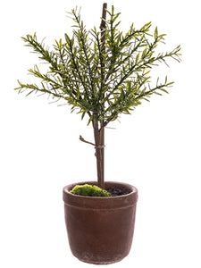 18" Myrtle Ball Topiary in Cement Pot Green (pack of 4)