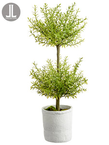 24" Myrtle Topiary x2 in Clay Pot Green (pack of 4)