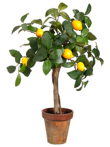 22" Young Lemon Topiary in Paper Mache Pot Yellow (pack of 4)