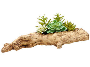 6.5" Succulent Garden in Faux Wood Log Green (pack of 2)