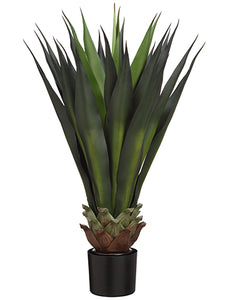 33"agave in Black Pot Gr  Green (pack of 2)