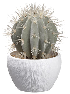 7.5" Barrel Cactus in Plastic Pot Green Gray (pack of 4)