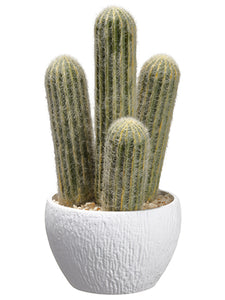 10" Column Cactus in Plastic Pot Green Gray (pack of 4)