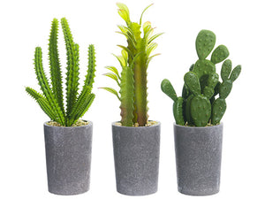 7" - 8" Cactus in Paper Mache Pot Assortment (3 ea/set) Green (pack of 4)