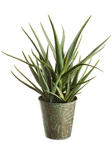 24" Soft Agave in Tin Pot  Green (pack of 1)