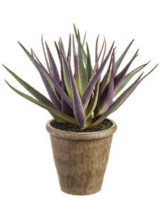 19" Soft PE Agave in Paper Mache Pot Green Purple (pack of 1)