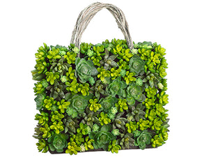 16"Hx4.5"Wx14"L Succulent Handbag Green (pack of 1)